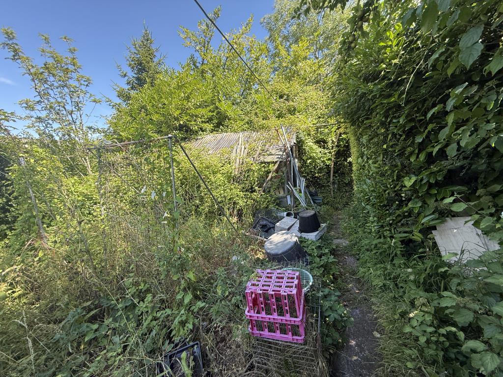 Lot: 125 - CHARACTER DETACHED PROPERTY FOR REFURBISHMENT - General view of the garden